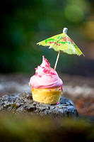 The Sassy Cupcake - Summer Cupcakes
