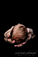 Baby Henry - Infant Portraits